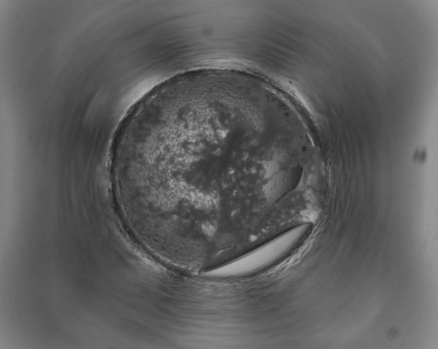 X0000091211071200708161538