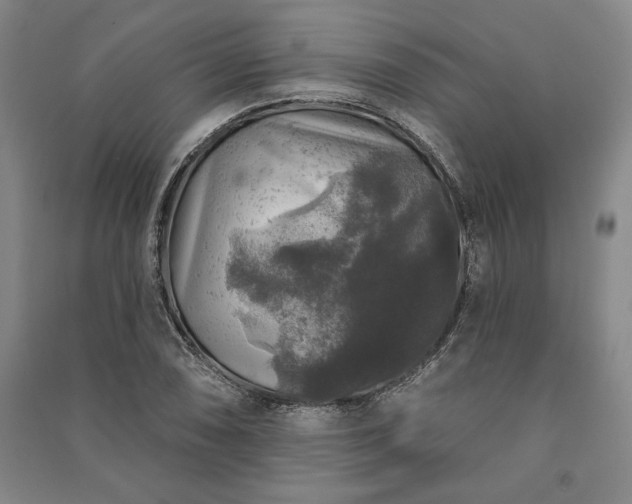 X0000091211074200708161538