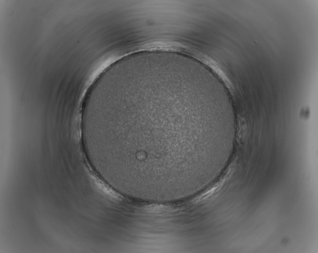 X0000091211075200708161538