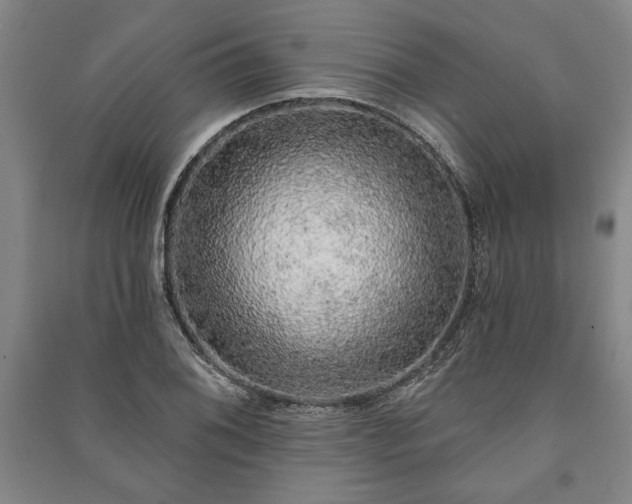 X0000091211076200708161538