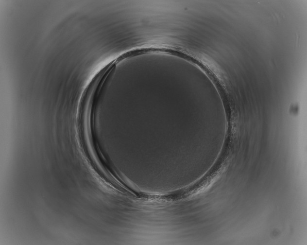 X0000091211077200708161538