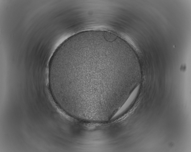X0000091211079200708161538