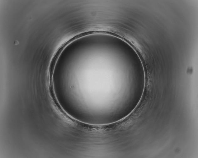 X0000091211080200708161538