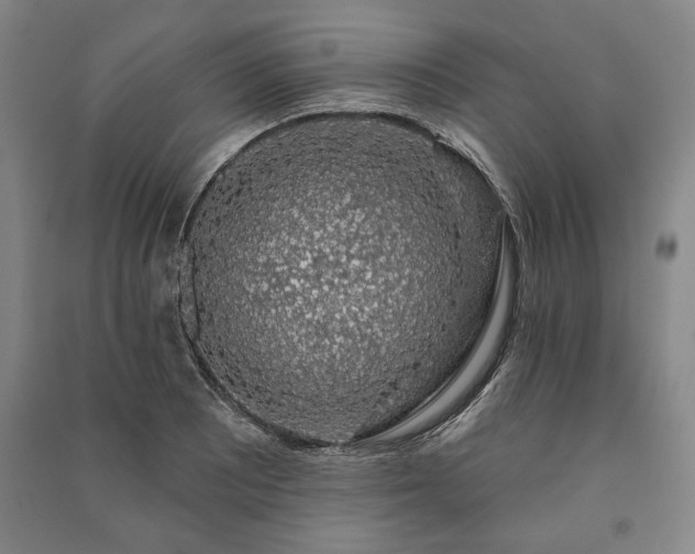X0000091211081200708161538