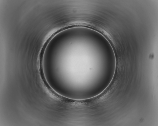 X0000091211082200708161538