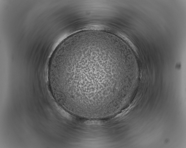 X0000091211083200708161538