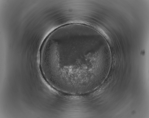 X0000091211084200708161538