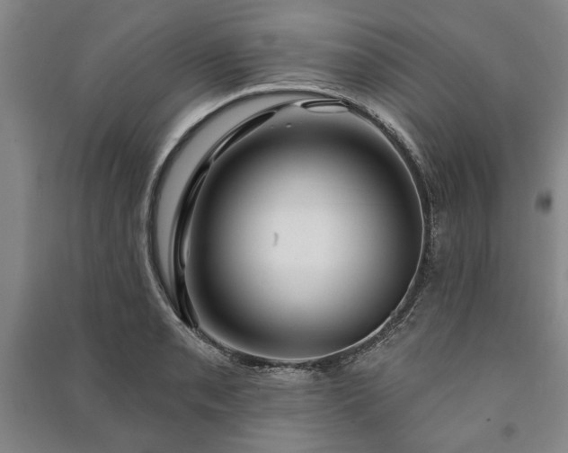 X0000091211085200708161538