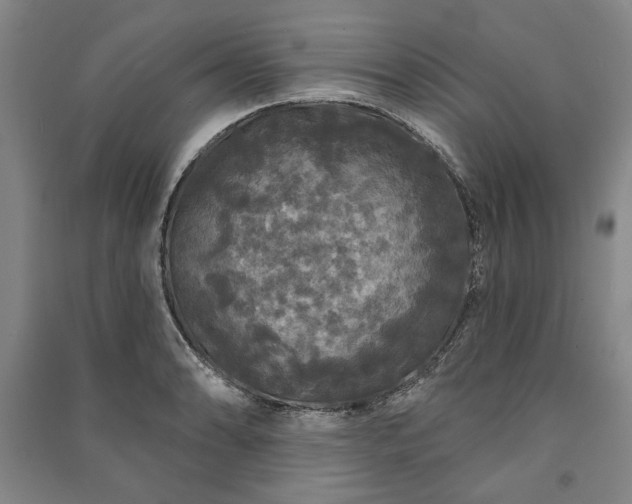 X0000091211086200708161538