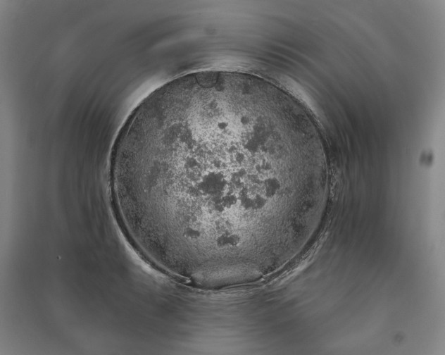 X0000091211087200708161538