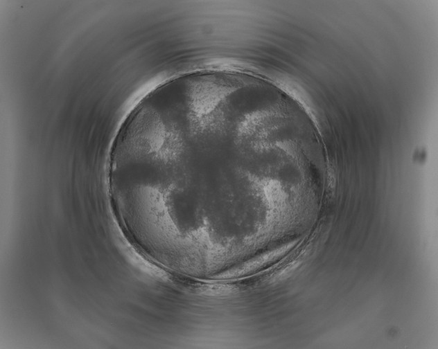 X0000091211090200708161537