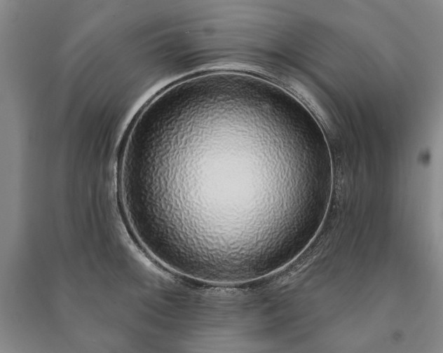 X0000091211092200708161537