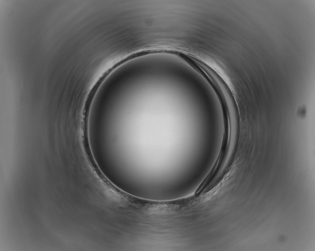 X0000091211093200708161537
