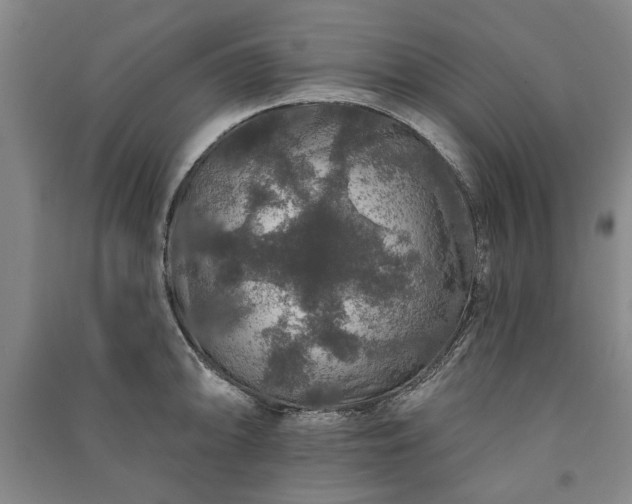 X0000091211094200708161537