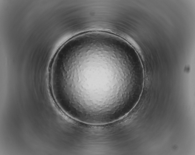 X0000091211096200708161537