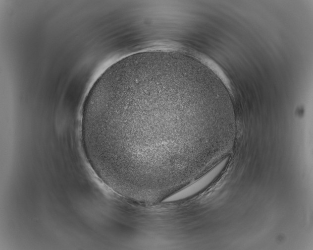 X0000091211099200708161537