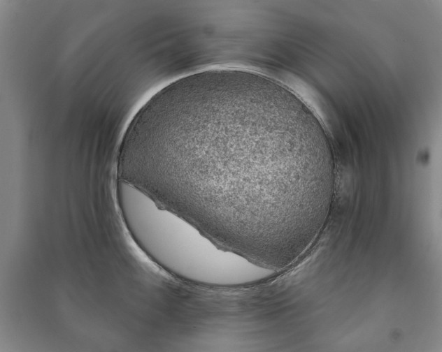 X0000091211100200708161537