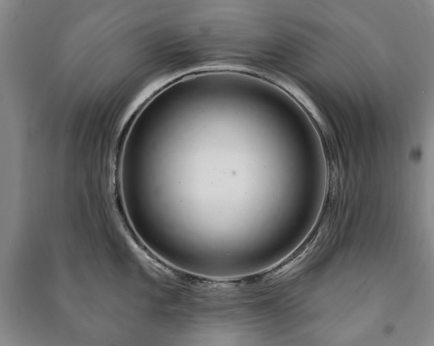 X0000091211101200708161537