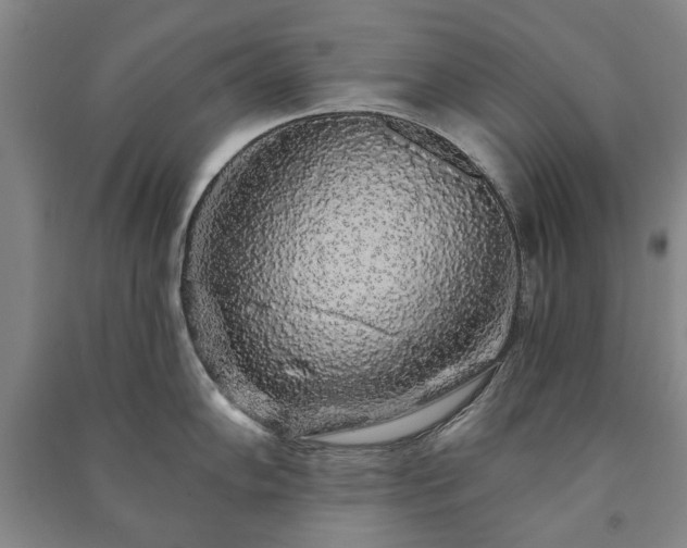 X0000091211102200708161537