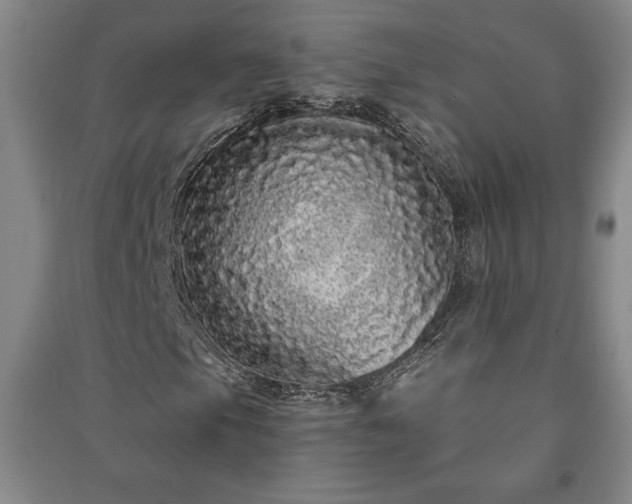 X0000091211105200708161537