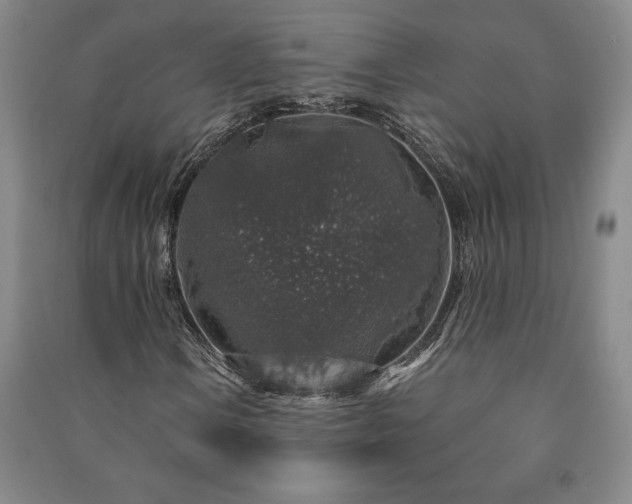 X0000091211106200708161537