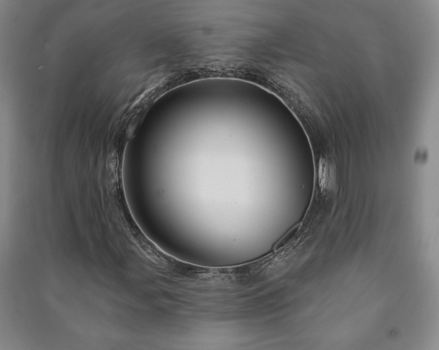 X0000091211107200708161537