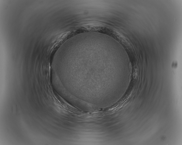 X0000091211108200708161537