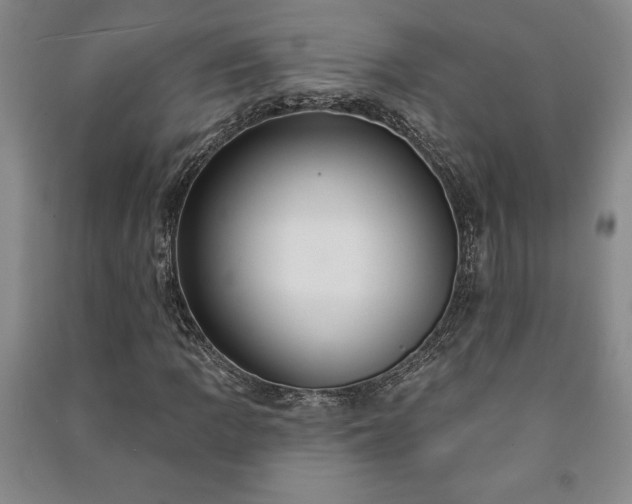 X0000091211109200708161537
