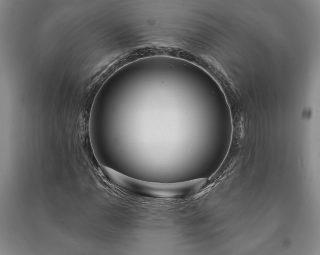 X0000091211110200708161537