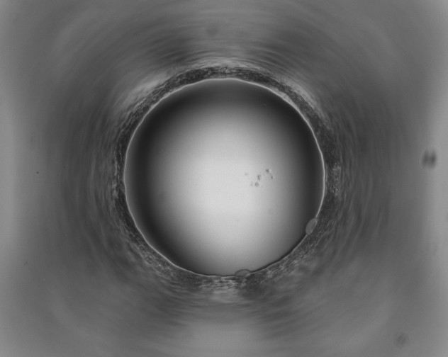 X0000091211111200708161537