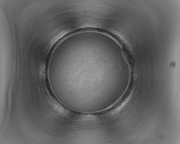 X0000091211113200708161537