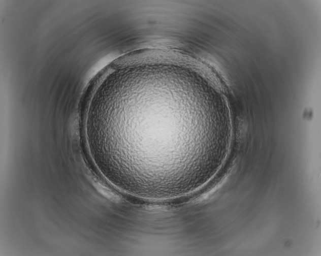 X0000091211114200708161537