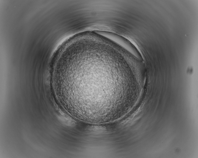 X0000091211115200708161537