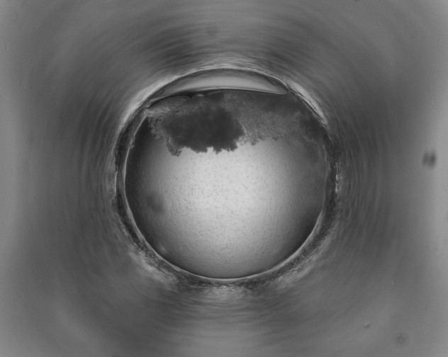 X0000091211117200708161537
