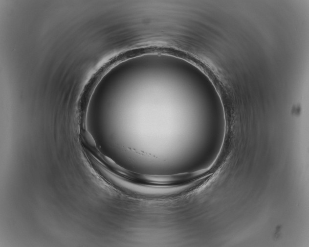 X0000091211118200708161537