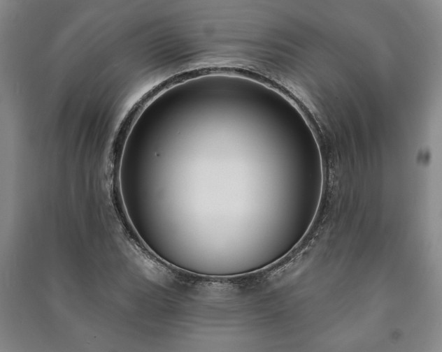 X0000091211119200708161537