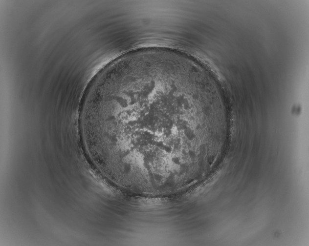 X0000091211121200708161537