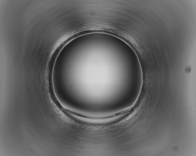 X0000091211122200708161537