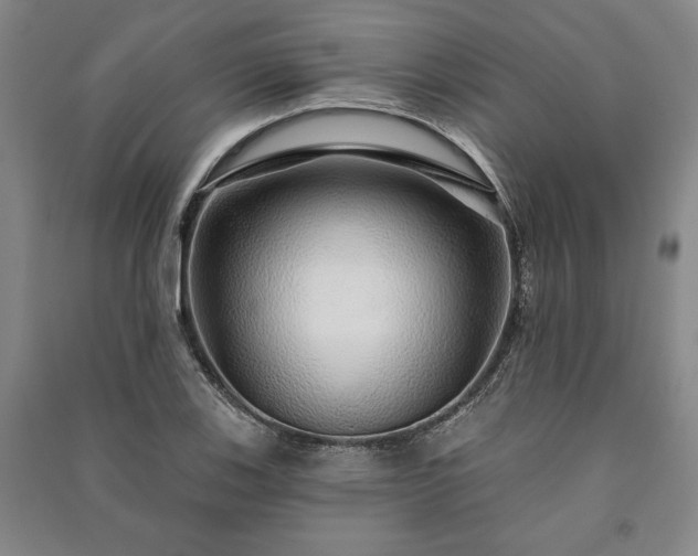 X0000091211123200708161537