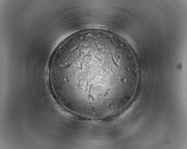 X0000091211125200708161537