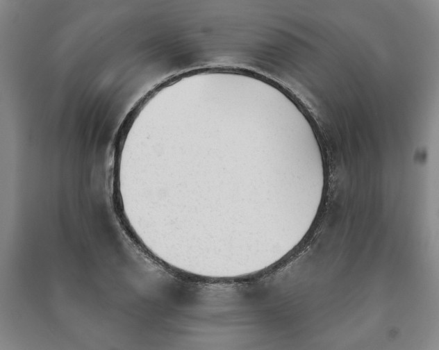 X0000091211126200708161537