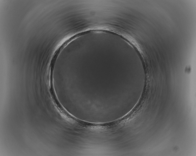 X0000091211127200708161537