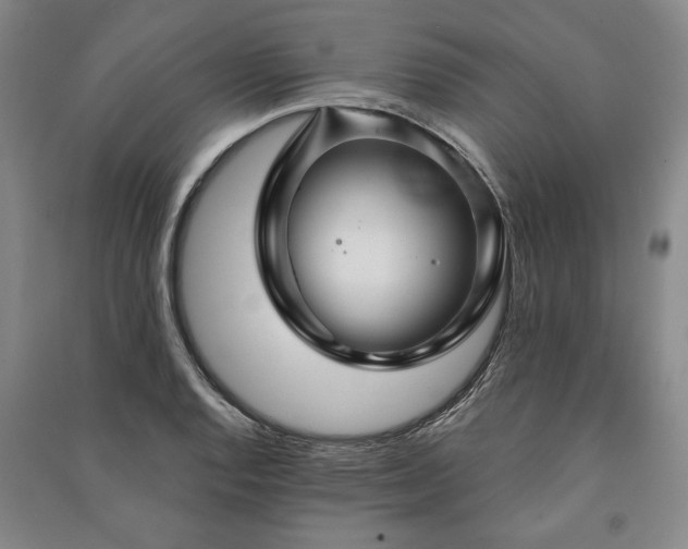 X0000091211128200708161537