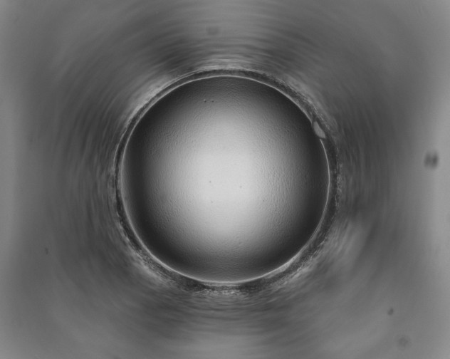 X0000091211129200708161537