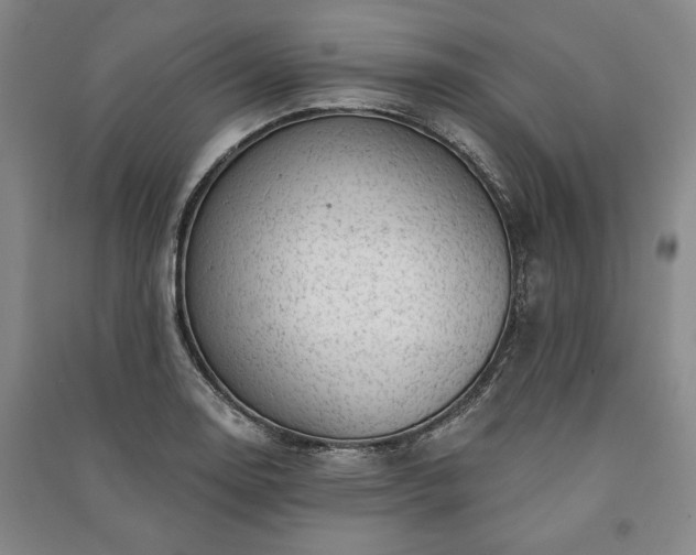 X0000091211130200708161537