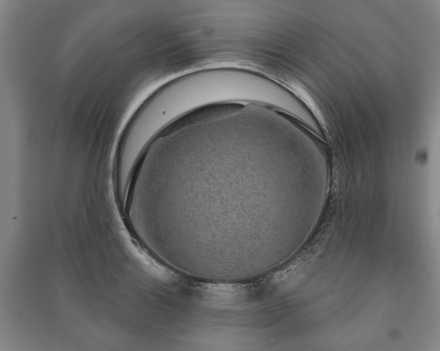 X0000091211132200708161537