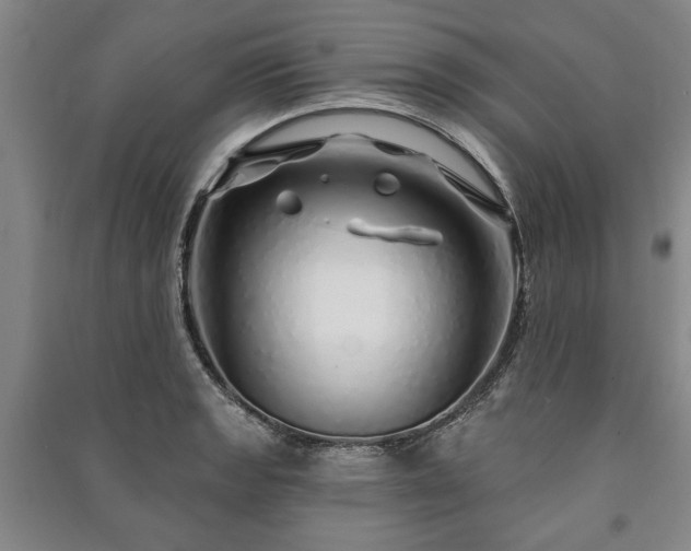 X0000091211133200708161537