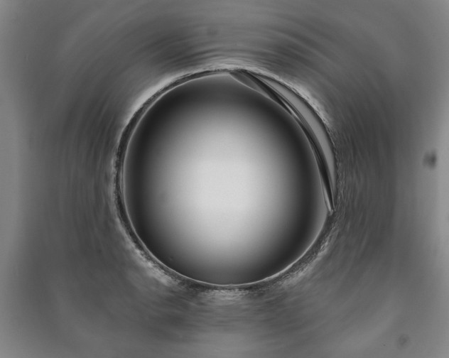 X0000091211134200708161537