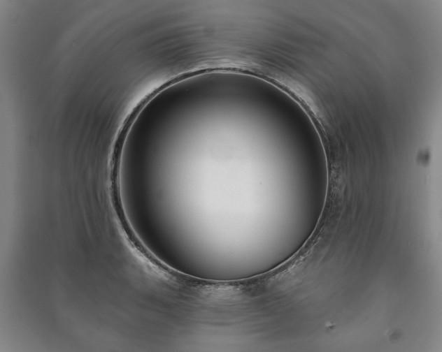 X0000091211135200708161537