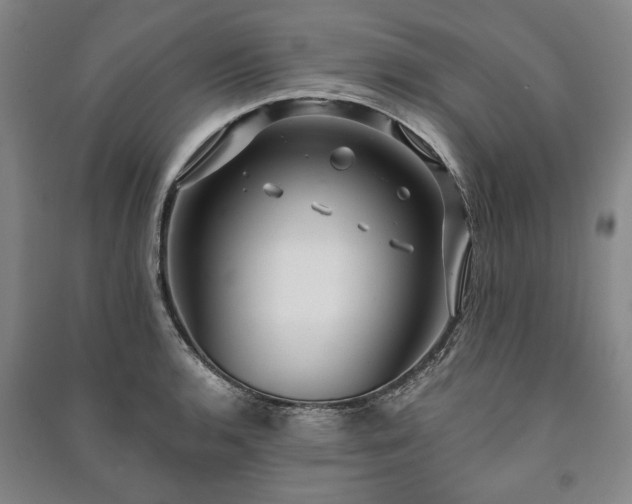 X0000091211136200708161537